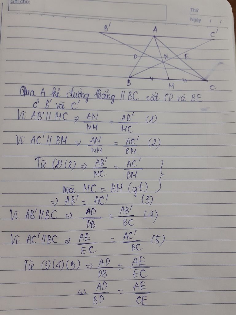 Tam giác ABC có AM là đường trung tuyến là gì? 
