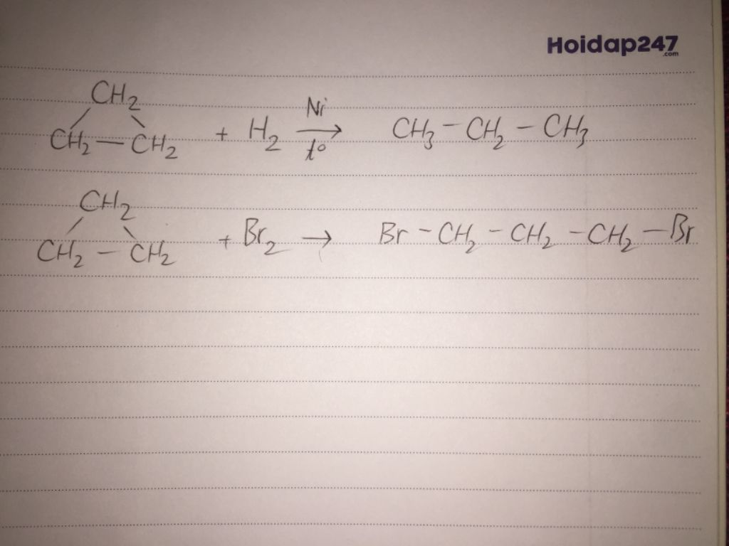 Đặc điểm và tính chất của c3h6 br2 trong hóa học hữu cơ