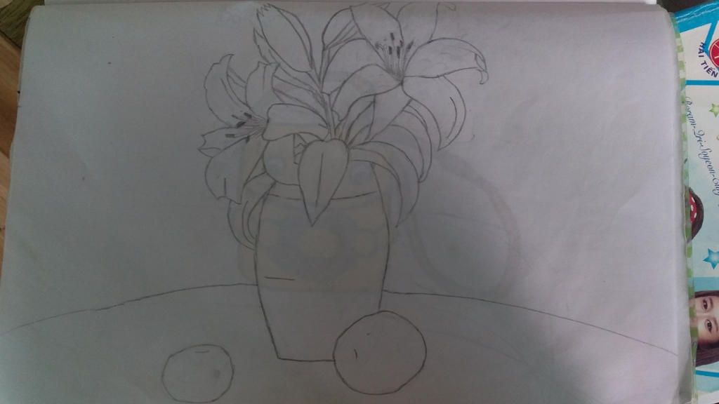 Hãy vẽ tranh Sơn mài của lọ hoa và quả câu hỏi 776637 - hoidap247.com