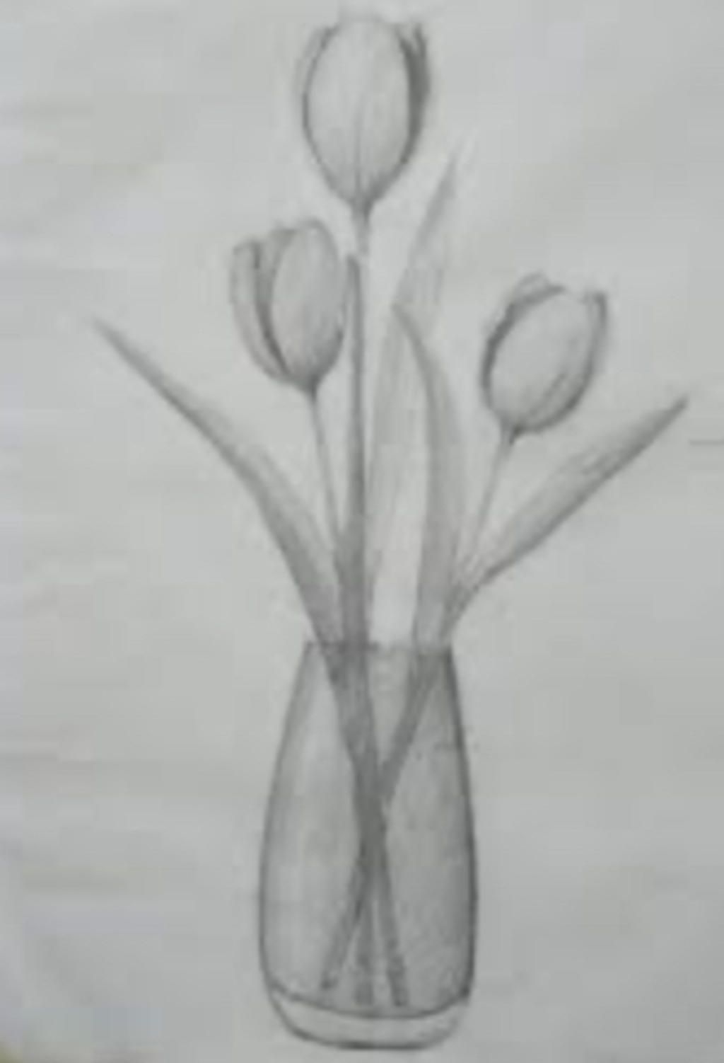 Xem hơn 48 ảnh về hình vẽ hoa tulip  NEC