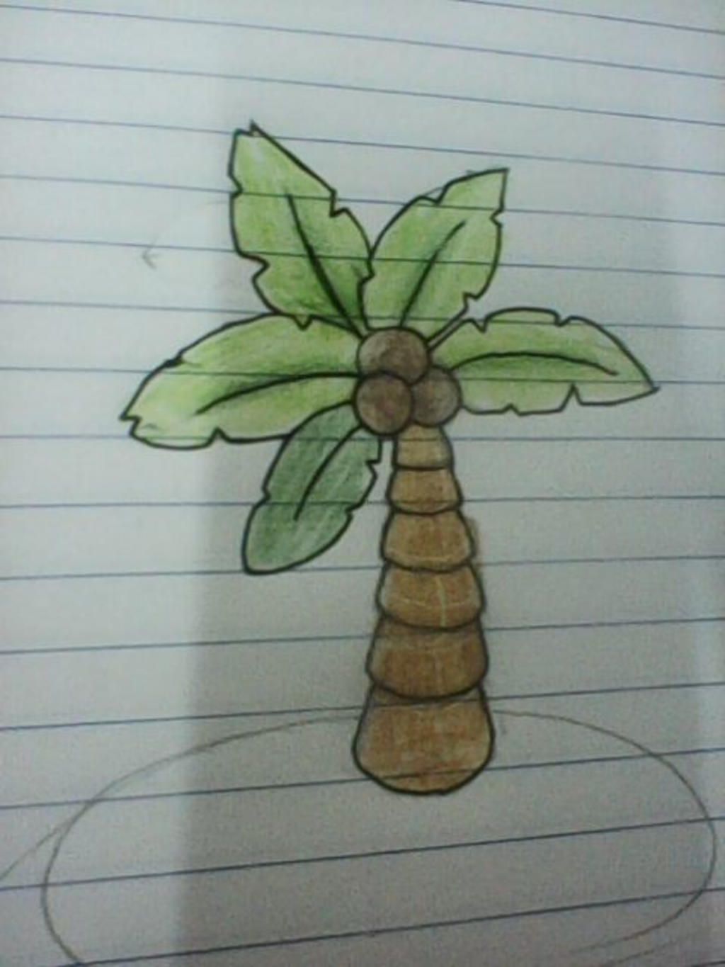 Cách vẽ cây dừa đơn giản  Hướng dẫn vẽ cây dừa bằng bút chì dễ nhất  Draw  so cute coconut tree  YouTube