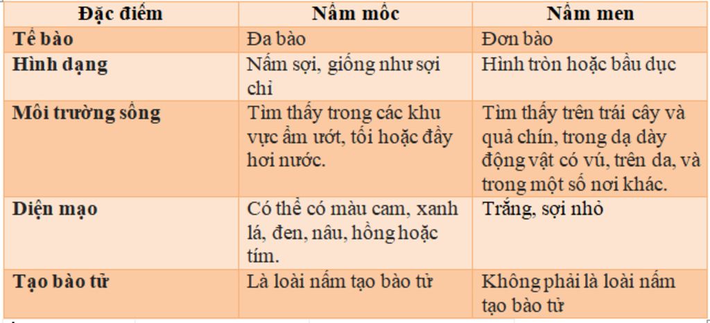 Đa dạng nấm  Olm