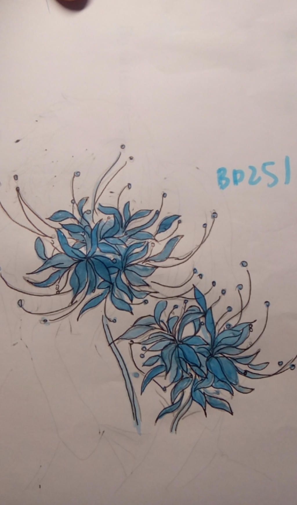 Hướng dẫn vẽ Hoa Bỉ Ngạn Hoa Sen Hoa Tử Đằng  How to draw flower   YouTube