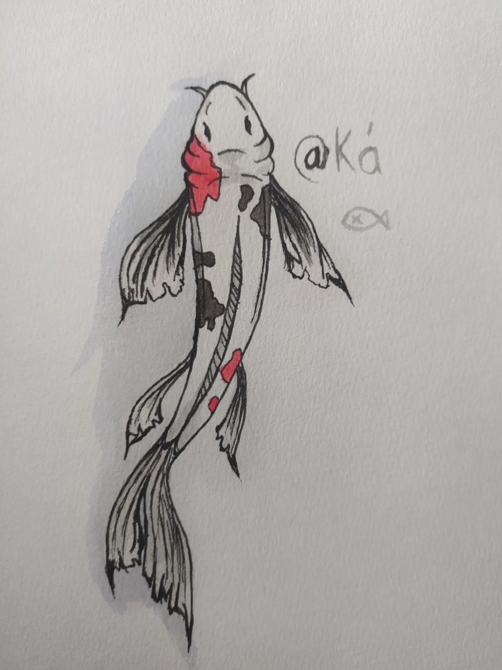 Vẽ con vật em yêu thích :) câu hỏi 1009004 - hoidap247.com: vẽ con cá trê. Hãy thể hiện tình yêu dành cho con cá trê bằng cách vẽ và tô màu nó thành hình ảnh đẹp mắt. Nhờ các chuyên gia trên trang hoidap247.com, bạn có thể học được cách vẽ đơn giản và dễ hiểu, giúp bạn sáng tạo và thỏa mãn đam mê nghệ thuật. Hãy cùng khám phá và vẽ con cá trê thật ấn tượng nhé!