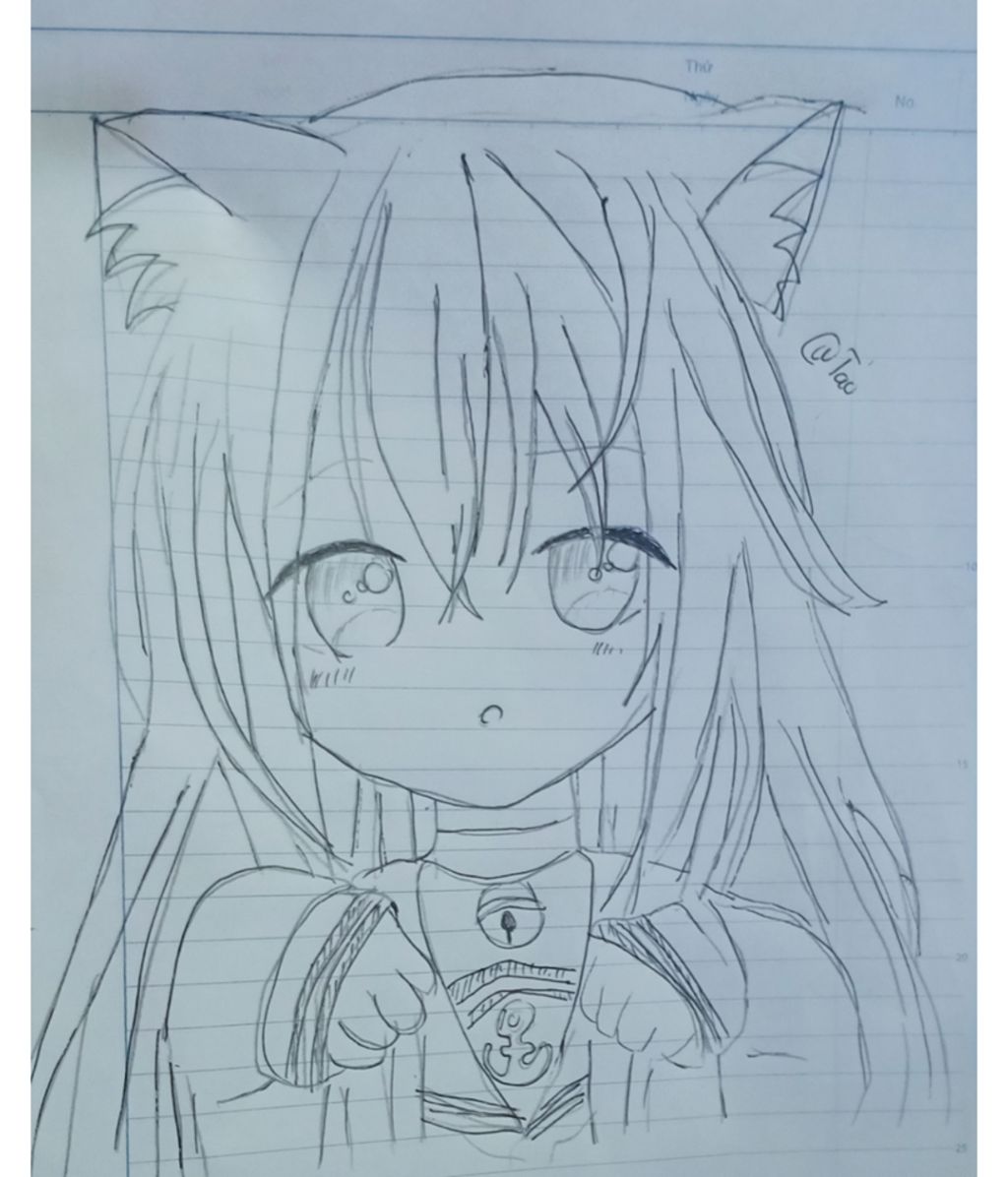 vẽ anime mèo nha câu hỏi 1009040 