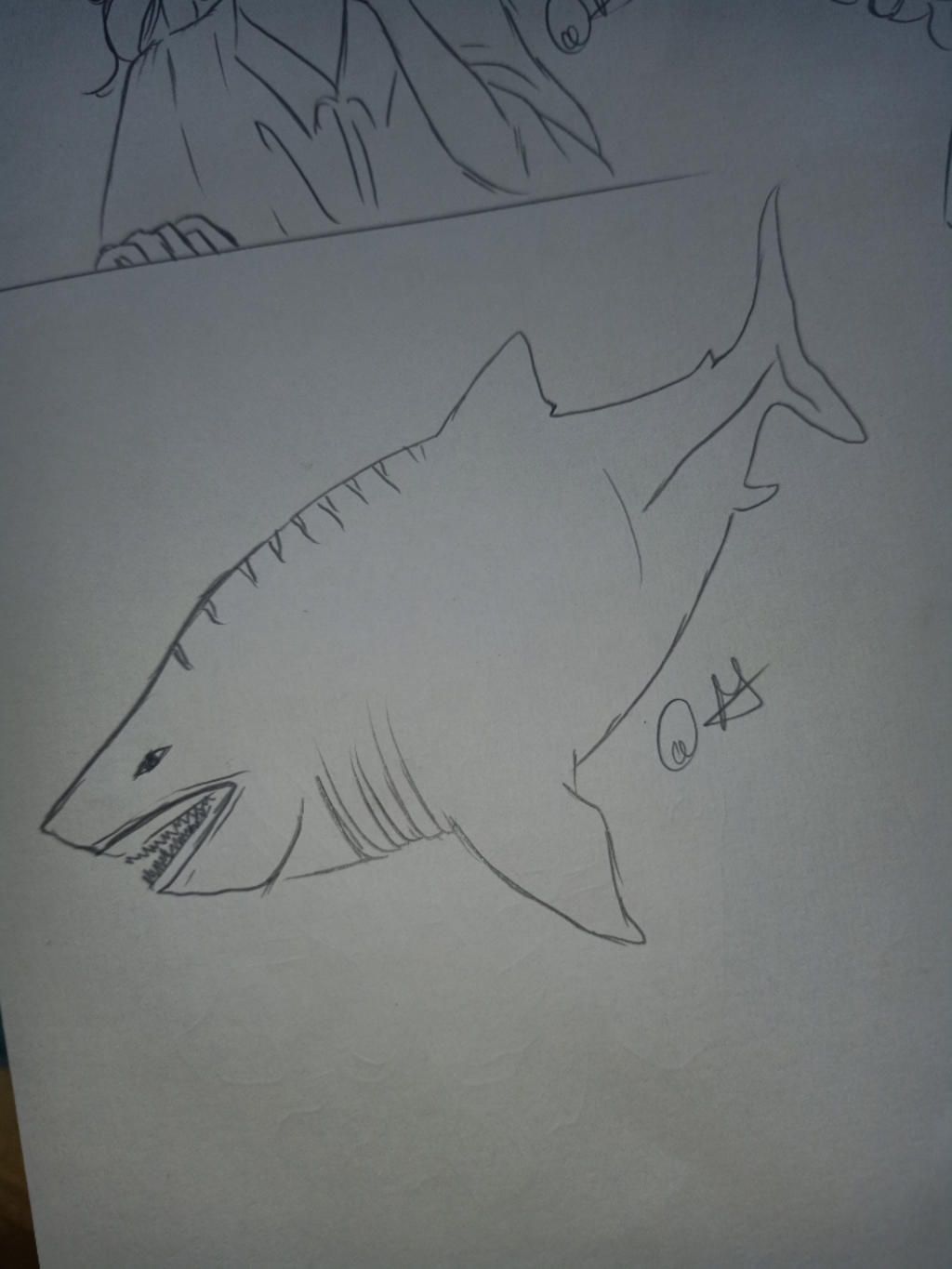 vẽ cá mập cỗ đại megalodon đi ( vẽ full con cá mập nhé ) câu hỏi ...