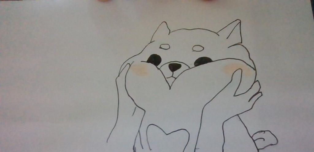 1000 Ảnh Chó Shiba Đẹp Siêu Cute Dễ Thương Đáng Yêu  Kỹ Sỹ Rồng