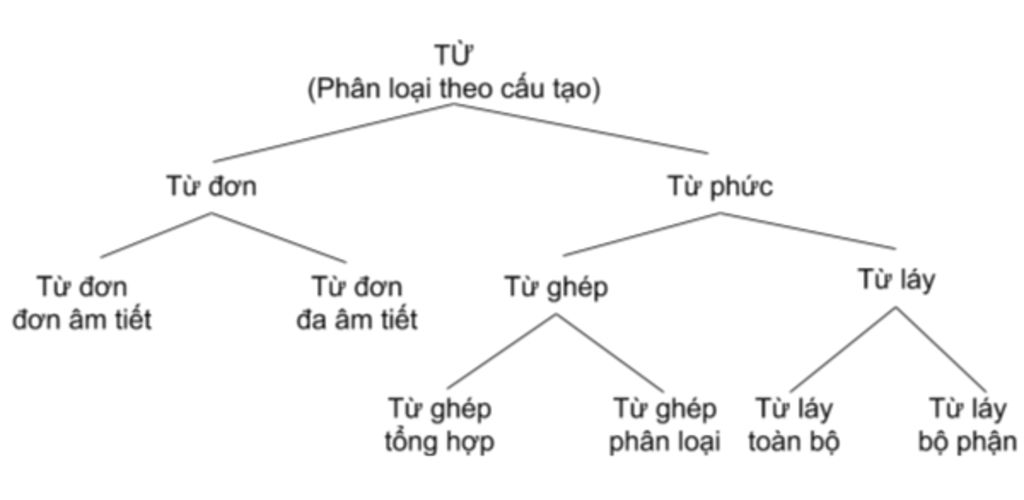 Cấu tạo từ là một khái niệm quan trọng trong việc học tiếng Việt. Hiểu rõ về cấu tạo từ có thể giúp chúng ta dễ dàng phân tích và sử dụng từ ngữ một cách hiệu quả. Hãy xem hình ảnh về cấu tạo từ để tìm hiểu thêm về các thành phần của từ và cách chúng tác động lẫn nhau.