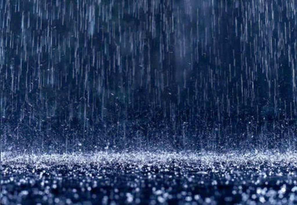 Gửi trọn cảm xúc vào những cơn mưa mùa hạ  STTHAY