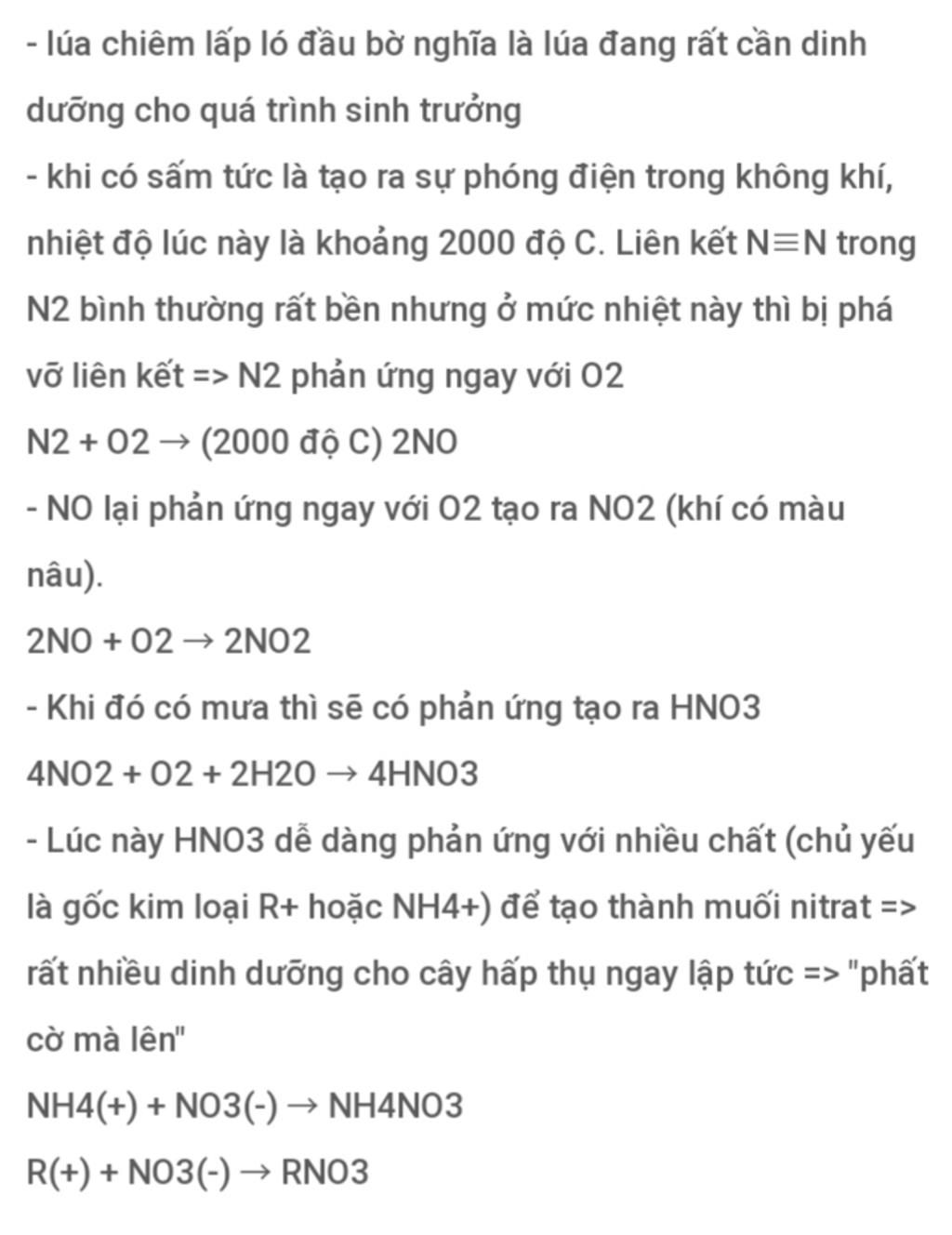 Tại sao câu ca dao lại kết hợp giữa lúa chiêm lấp ló và tiếng sấm?
