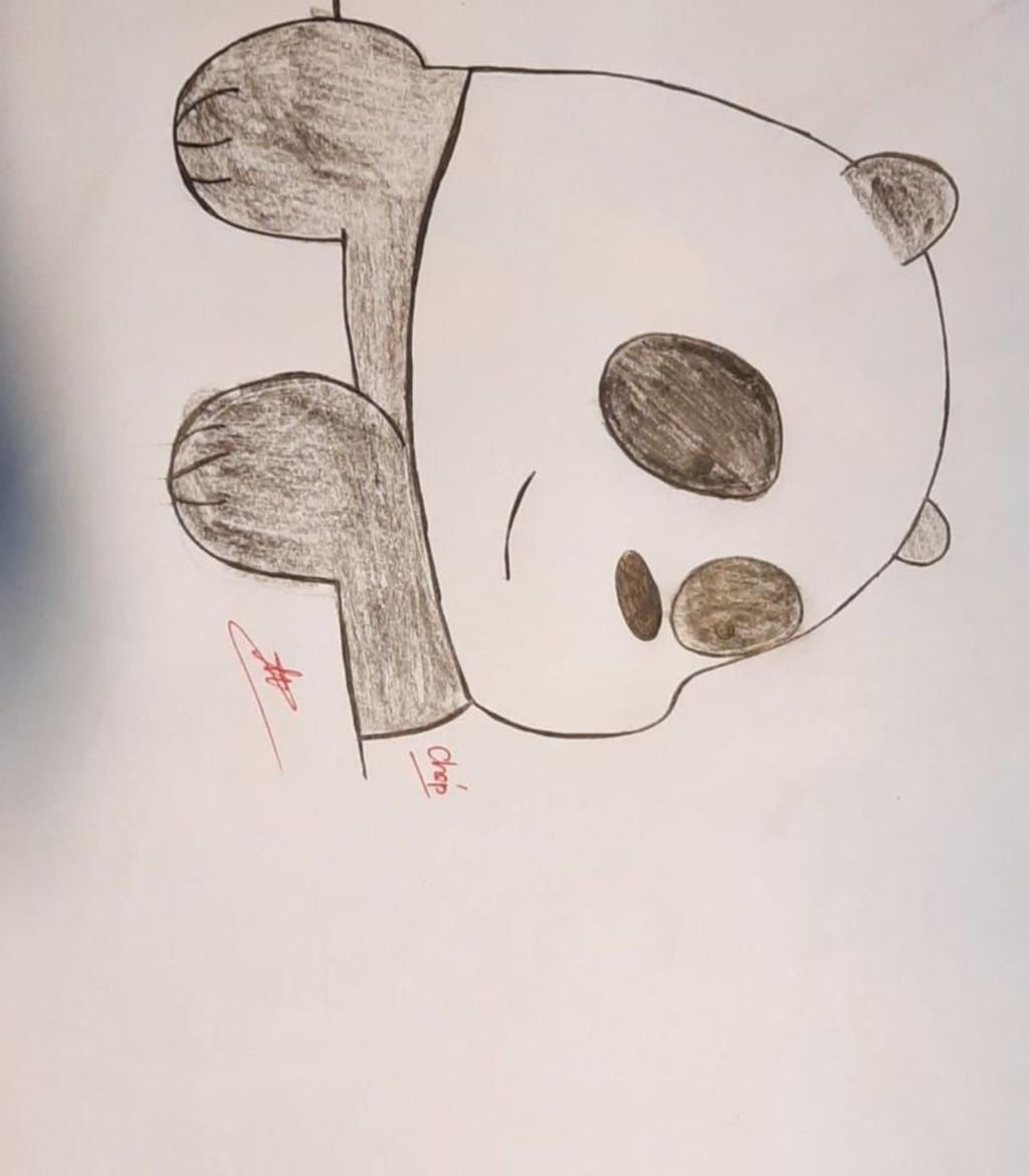 vẽ chú gấu panda trong chúng tôi đơn giản là gấu câu hỏi 1276107 ...