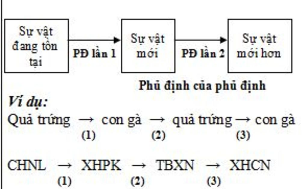 Mô hình xoắn ốc