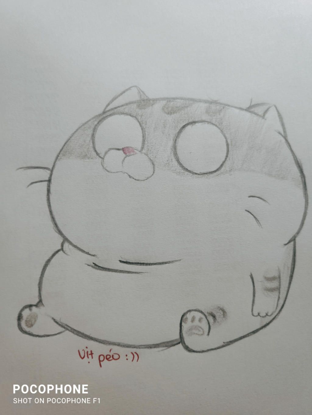vẽ mèo mập nhaaaaaaaaaaaa tặng mài đó mao bự ( Khang Idol ) câu ...