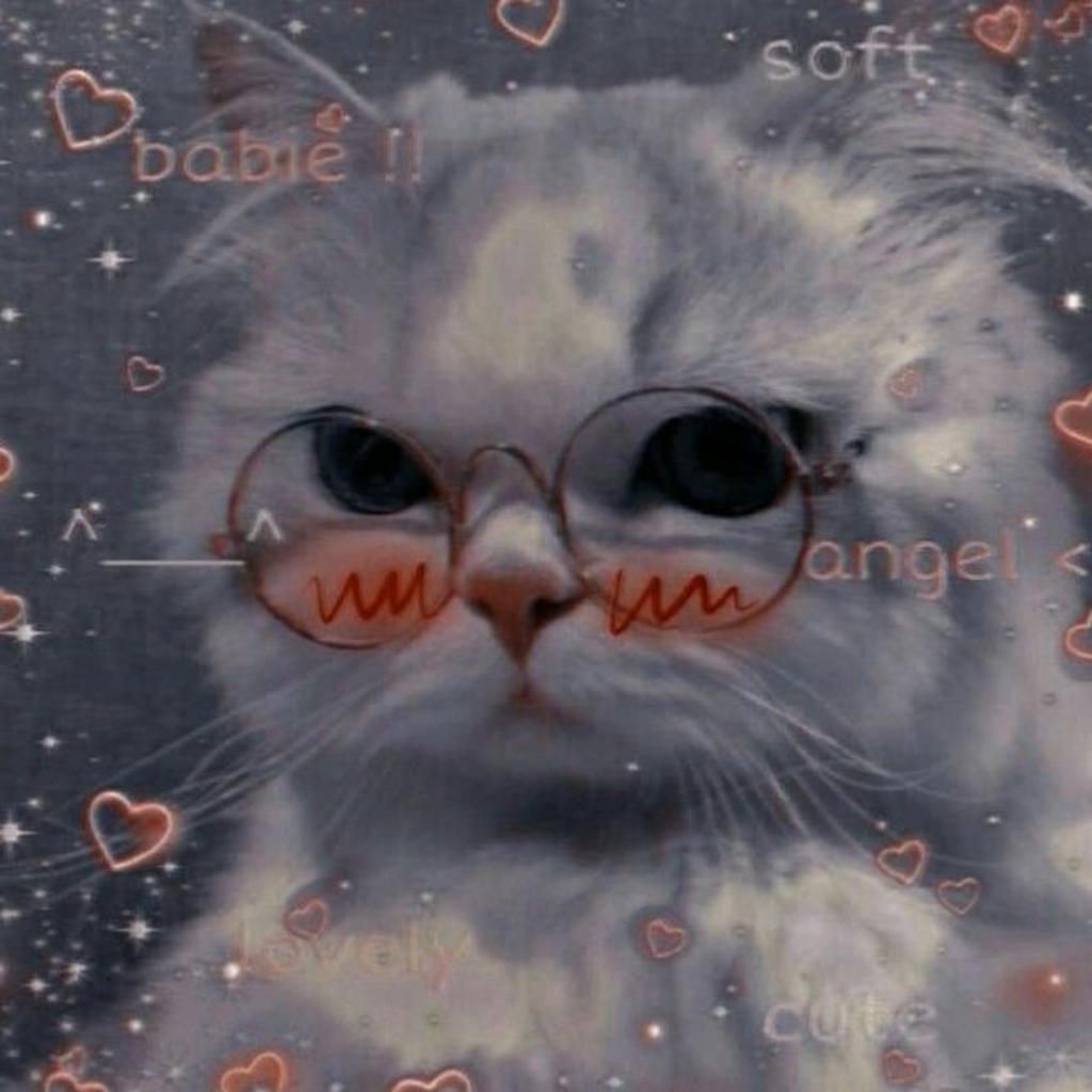 Ảnh Mèo Khóc Siêu Cute Hài Hước Làm Avatar Meme