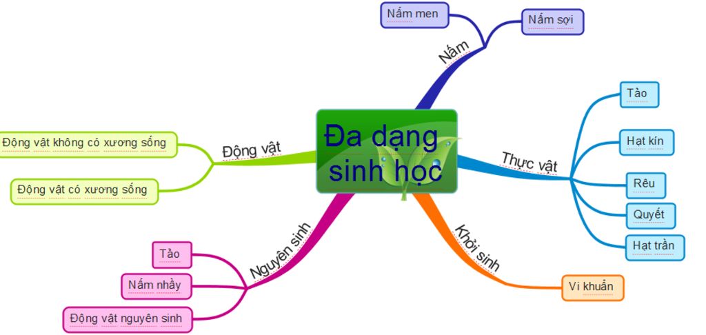 Sơ đồ tư duy Sinh 9 bài 60: bảo vệ đa dạng hệ sinh thái ???? câu hỏi ...