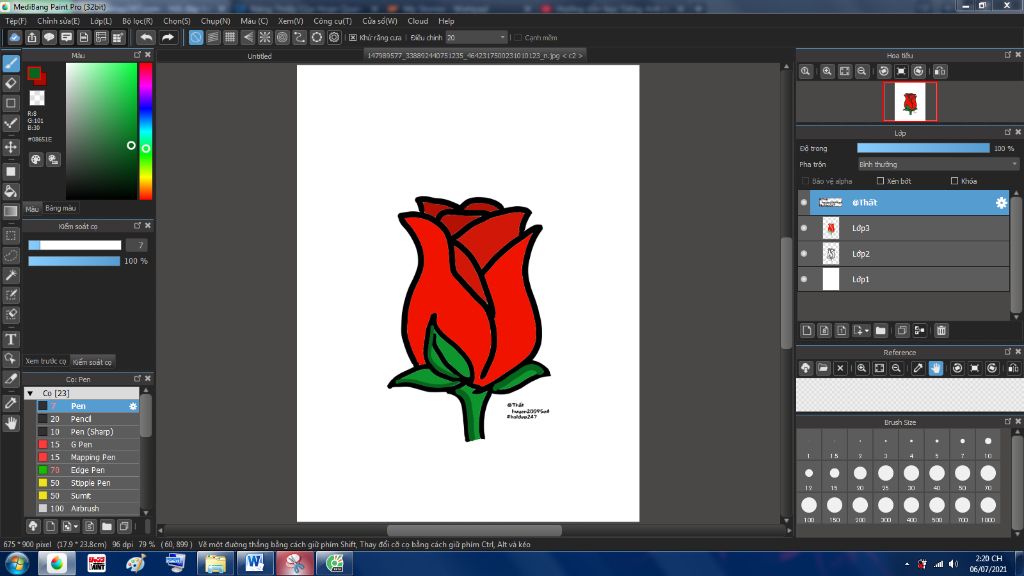 image