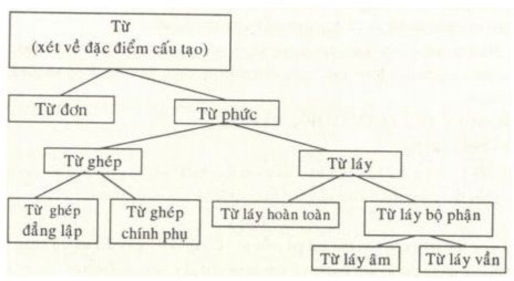 Nêu khái niệm tiếng và từ trong tiếng Việt Vẽ sơ đồ cấu tạo từ tiếng