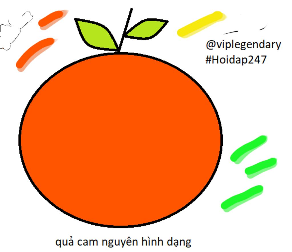 Hướng dẫn chi tiết cách vẽ quả cam đơn giản nhất  Trường THPT Kiến Thụy
