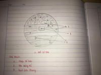 vẽ và chú thích mô cơ vân , mô cơ trơn và mô thần kinh câu hỏi 2448135 - hoidap247.com Vẽ Và Chú Thích Mô Cơ Vân , Mô Cơ Trơn Và Mô Thần Kinh Câu Hỏi 2448135 - Hoidap247.Com