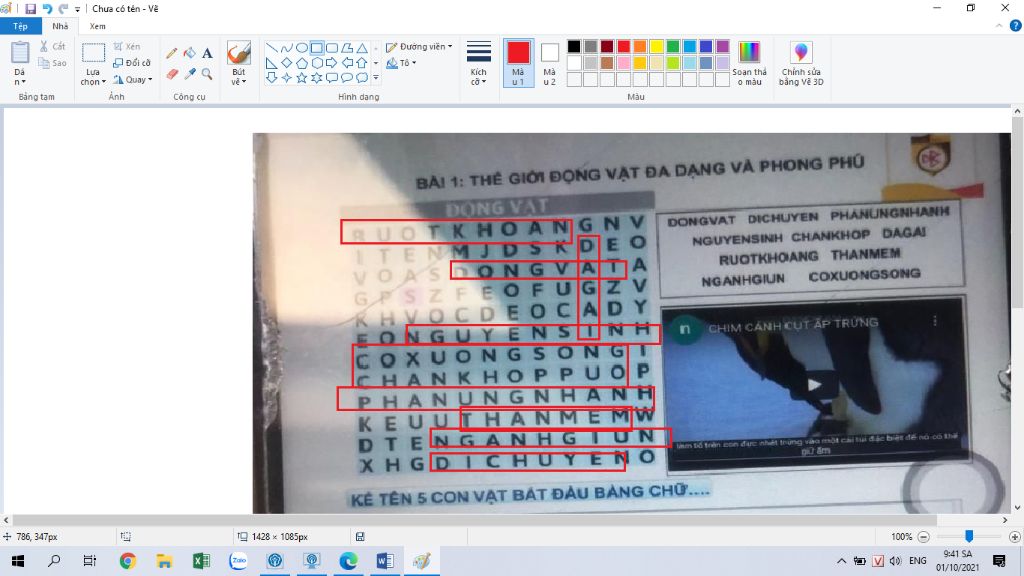 image