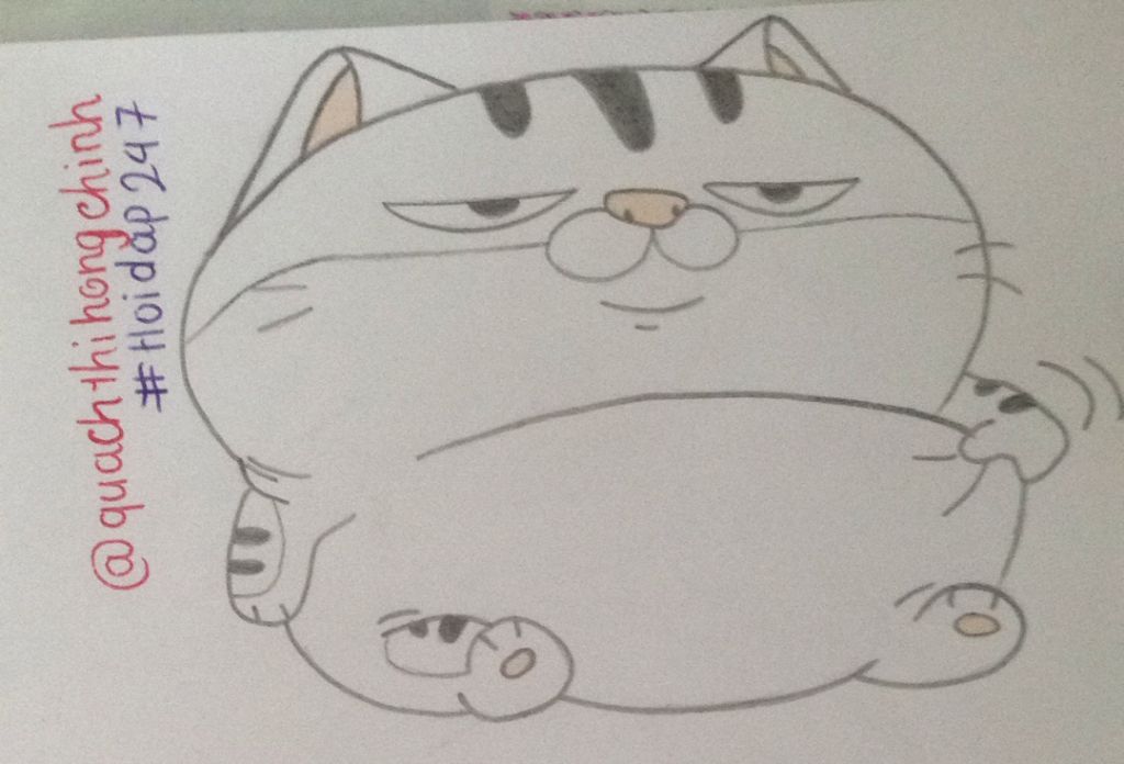 Vẽ Mèo Ami Bụng Bự Siu Cute Nl:Ai Dùng L..A..Z..I Không Câu Hỏi 2540303 -  Hoidap247.Com