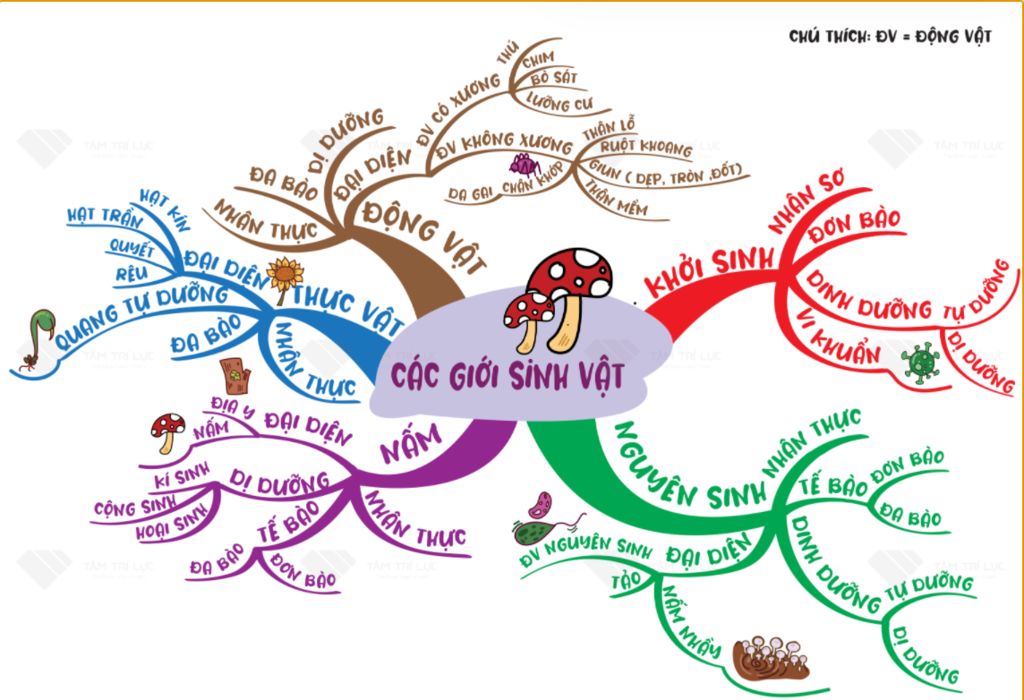 Câu hỏi luôn là cơ hội để mở rộng kiến thức và tìm hiểu về điều gì đó mới mẻ. Hãy cùng xem hình ảnh liên quan để tìm hiểu về các loại câu hỏi khác nhau và cách giải quyết chúng một cách hiệu quả nhất.