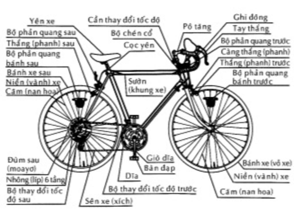 Tên Các Bộ Phận Chiếc Xe đạp Ghi 10 Bộ Phận Ra Nha Câu Hỏi 3091805 