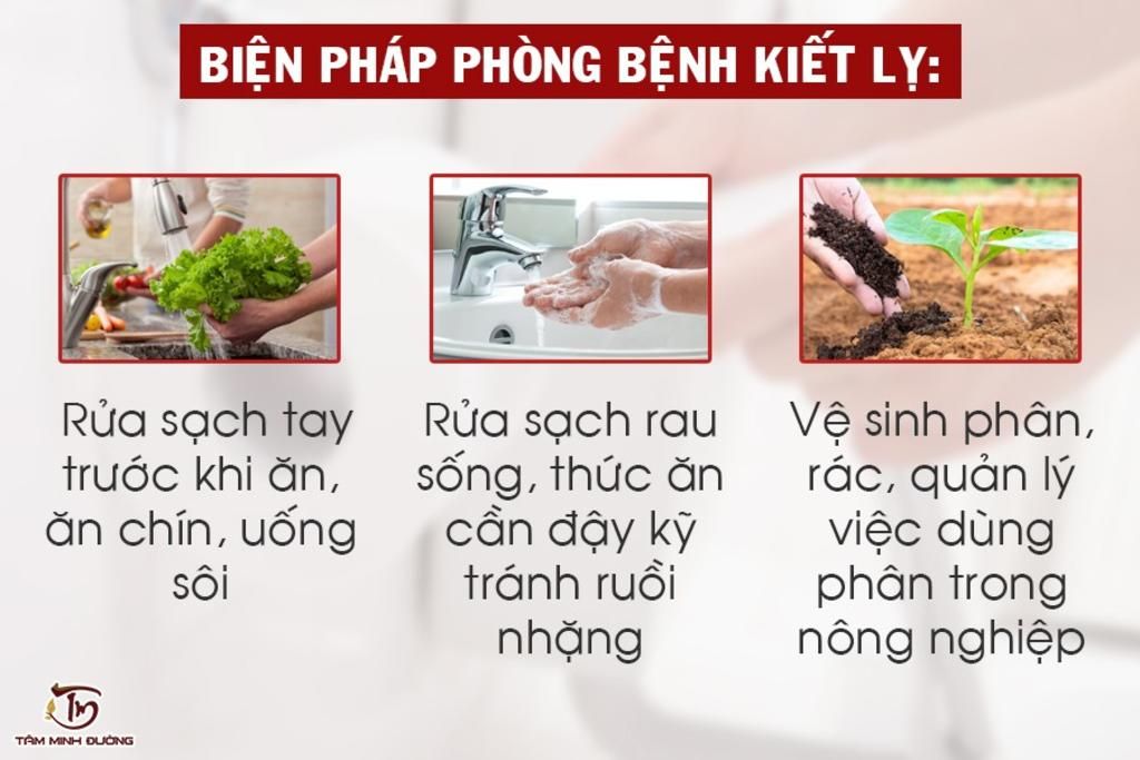 cách phòng tránh).bệnh kết li và bệnh sốt rét câu hỏi 3201052 ...