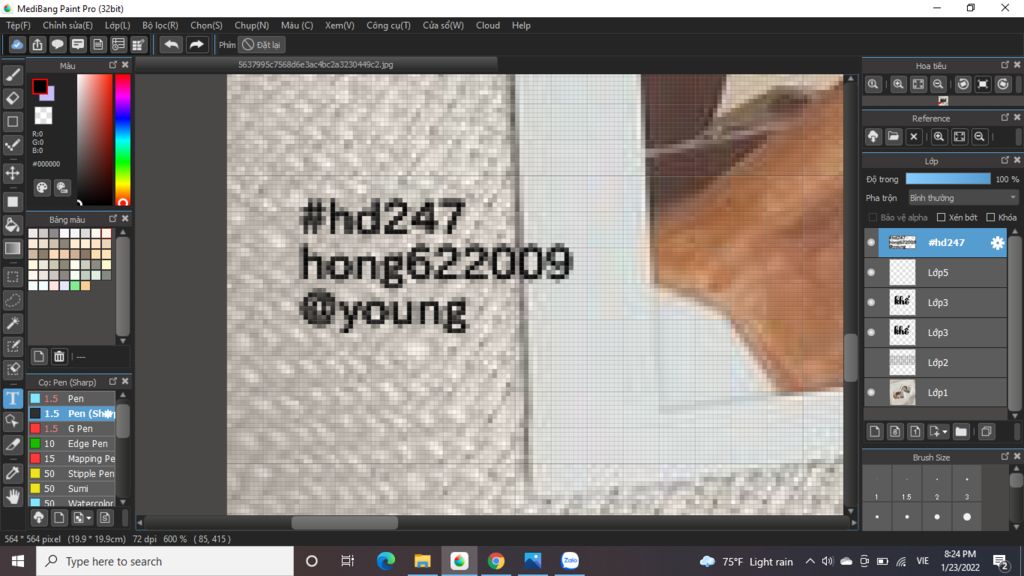 image