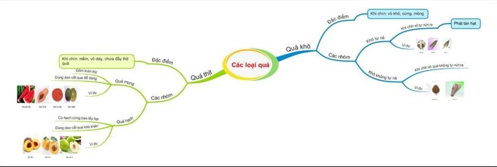 Vẽ sơ đồ tư duy bài 37 sinh học 8 Giúp mình với . câu hỏi 3807799 ...