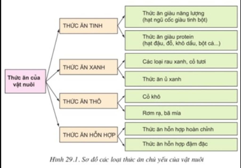 Vẽ sơ đồ tư duy về vai trò của thức ăn đối với vật nuôi 5sao + ...