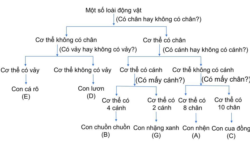 Câu 6 : Có 1 Số Động Vật Sau : Con Giun , Con Ốc , Con Chuồn Chuồn , Con  Ong , Con Rết , Con Kiến . Hãy Xay Dựng Khóa Lưỡng Phân Để Phân Loại Các  Loài Động