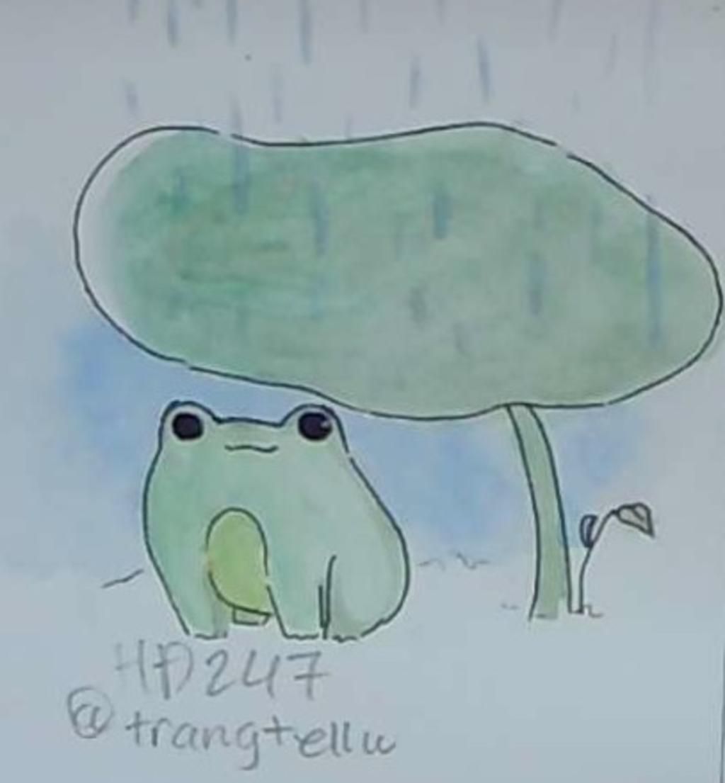 Hình vẽ con ếch tranh tô màu con ếch xanh dễ thương  VFOVN