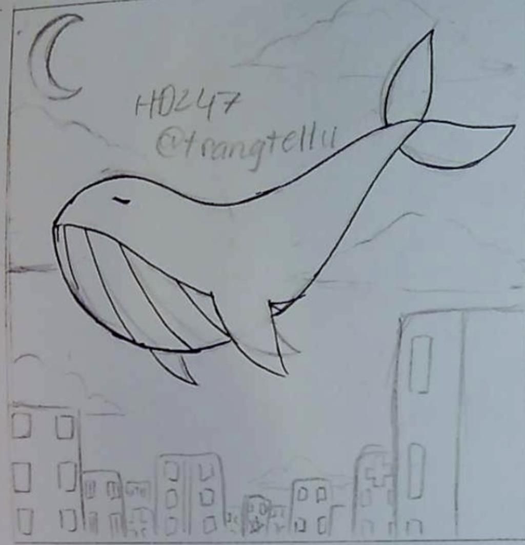 Chi tiết với hơn 275 vẽ con cá voi siêu hot - thtantai2.edu.vn