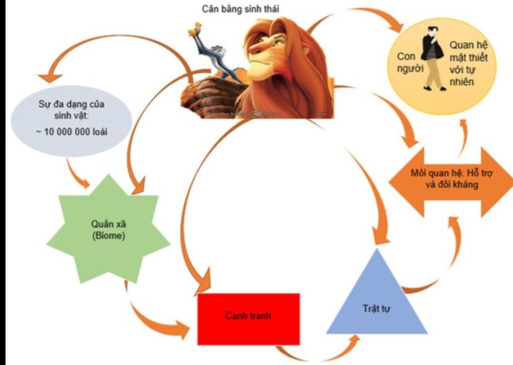 Tóm Tắt Quyển Sách 