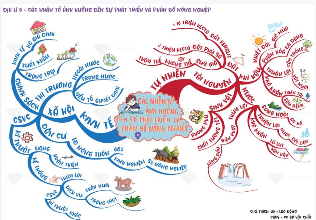 Vẽ sơ đồ tư duy địa lý lớp 7 sẽ giúp các em học sinh tăng cường kỹ năng sáng tạo, tư duy logic và trực quan hóa kiến thức. Bằng cách này, học sinh sẽ tăng cường khả năng học tập và hiểu biết về địa lý.