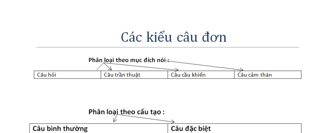 ngu-van-lop-7-ve-so-do-cac-kieu-cau-don-ve-so-do-cac-dau-cau