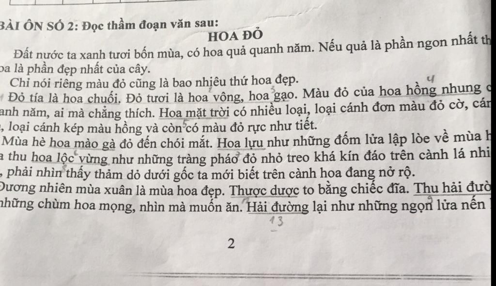 hoa-nao-no-vao-mua-thu-trong-bai-hoa-do