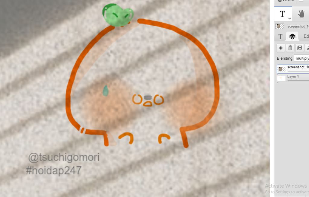 image