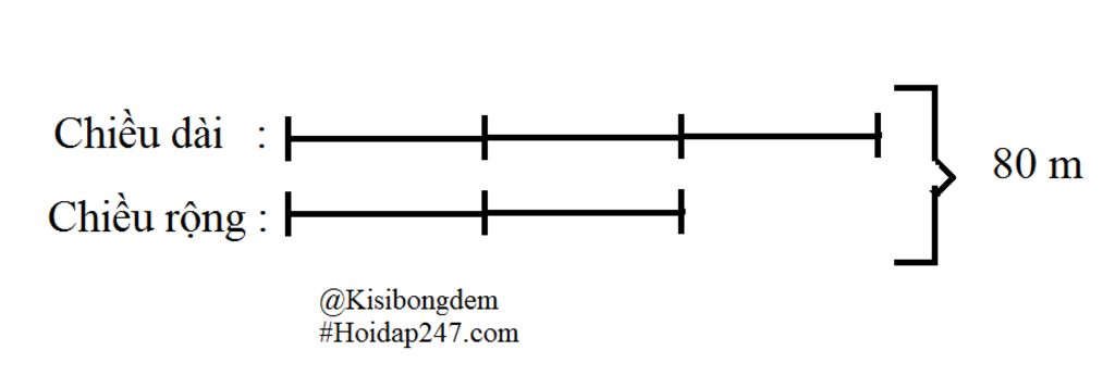 Vườn hoa nhà trường hình chữ nhật có chu vi là 160m. chiều rộng bằng 2/3 chiều dài. a) Tính chiều dài, chiều rộng vườn hoa đó b) Người ta để `1/24` Vườn Hoa Nhà Trường Hình Chữ Nhật Có Chu Vi Là 160M. Chiều Rộng Bằng 2/3 Chiều Dài. A) Tính Chiều Dài, Chiều Rộng Vườn Hoa Đó B) Người Ta Để `1/24`