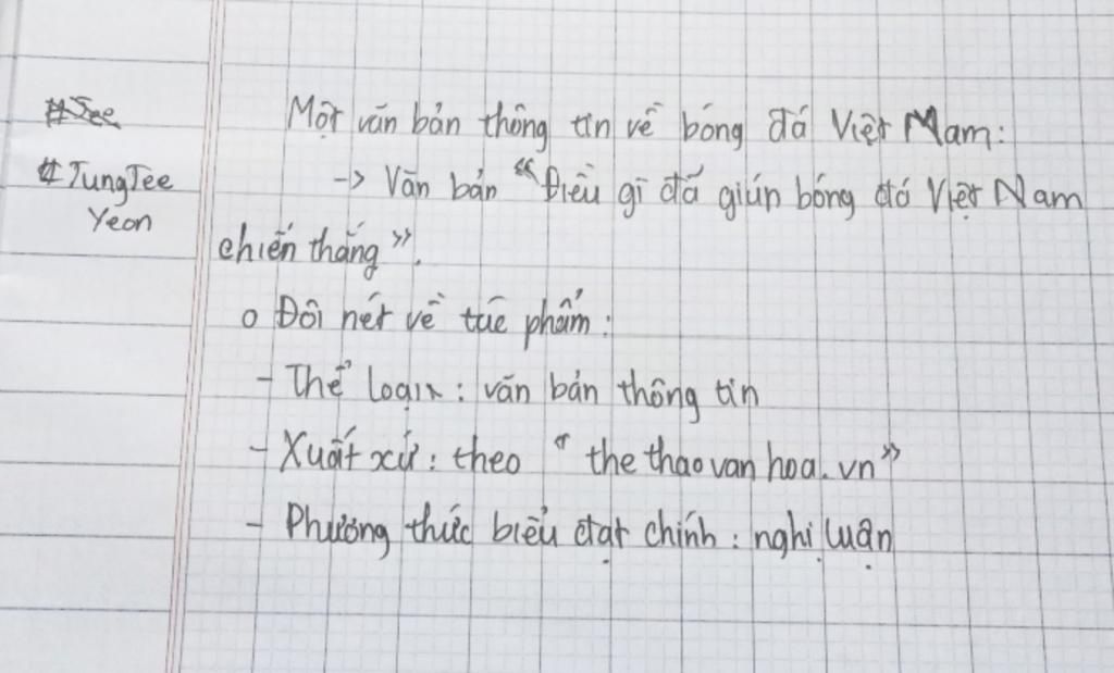 suu-tam-mot-van-ban-thong-tin-ve-bong-da-viet-nam