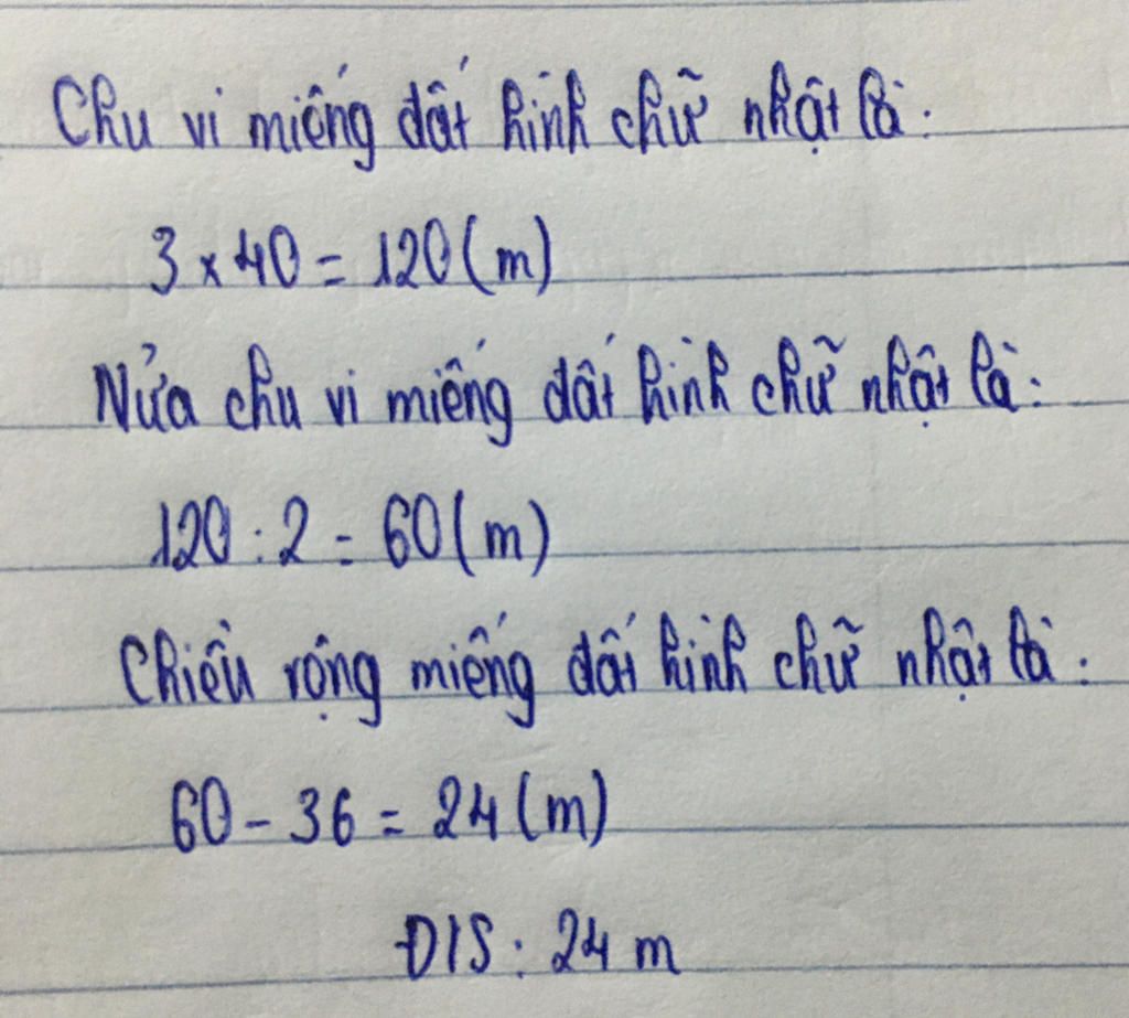 nguoi-ta-trong-cay-ung-quanh-mot-mieng-dat-hinh-chu-nhat-cay-no-cach-cay-kia-3m-va-trong-duoc-ta