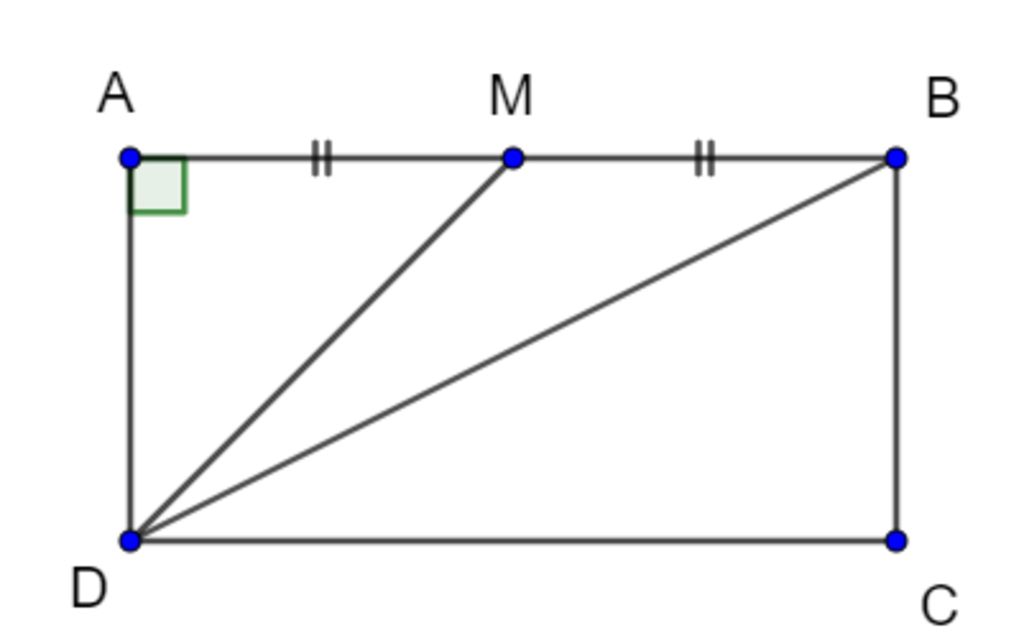 cho-hinh-chu-nhat-abcd-co-canh-ad-a-m-la-trung-diem-cua-canh-ab-biet-rang-sinmdb-1-3-tinh-do-dai