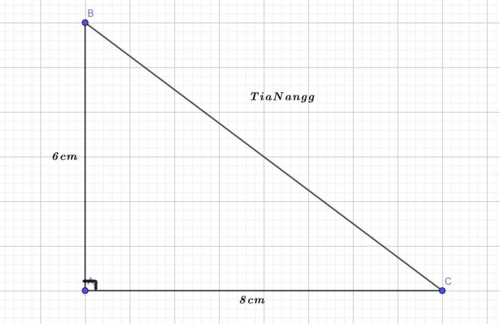 cho-tam-giac-abc-vuong-tai-a-biet-ab-6cm-ac-8cm-tinh-bc-va-cosb-tinh-cac-ti-so-luong-giac-cua-go