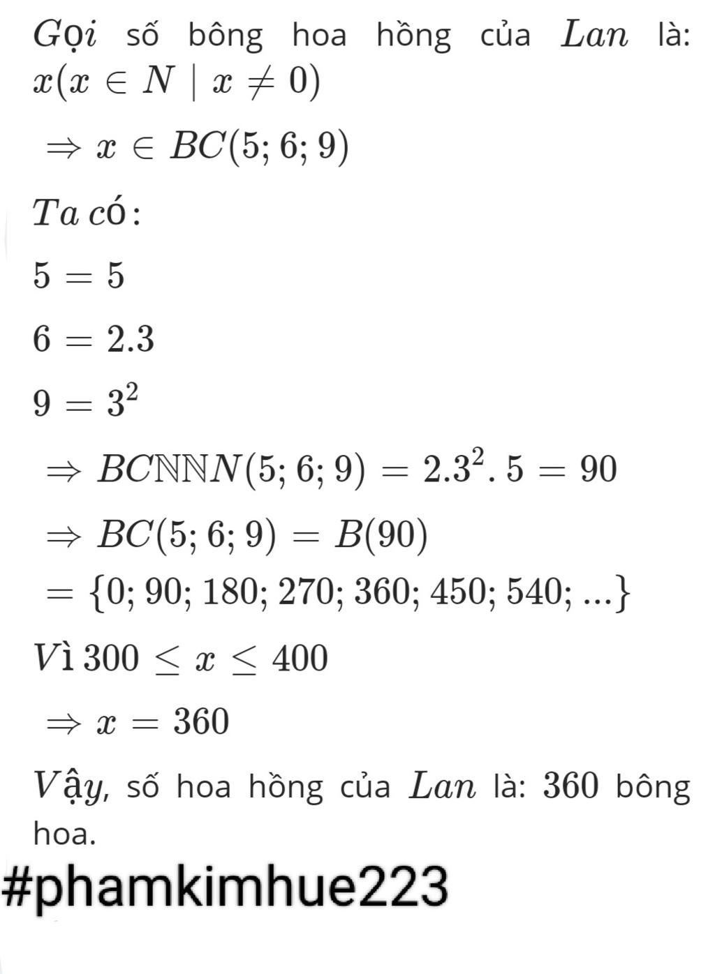 ban-lan-co-mot-so-bong-hoa-hong-neu-lan-bo-thanh-cac-bo-gom-5-bong-6-bong-hay-9-bong-thi-deu-vua