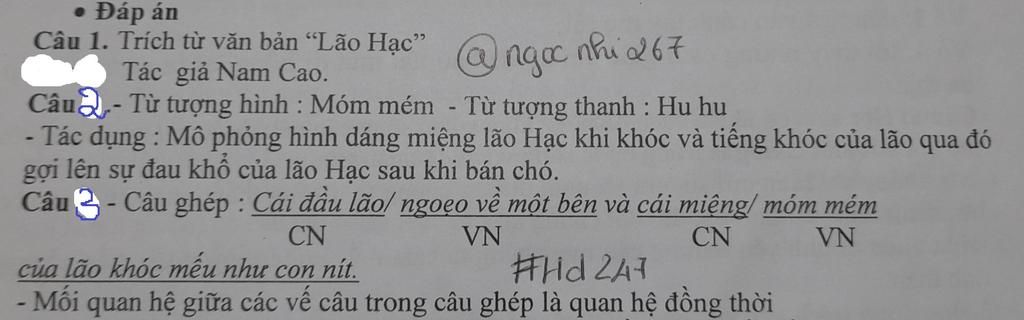 hom-sau-lao-hac-sang-nha-toi-vua-thay-toi-lao-bao-ngay-cau-vang-di-doi-roi-ong-giao-a-cu-ban-roi