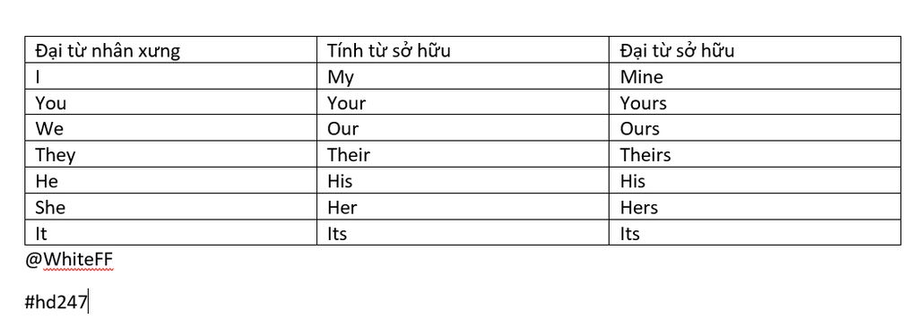 liet-ke-cac-dai-tu-nhan-ung-tinh-tu-so-huu-dai-tu-so-huu-ke-bang