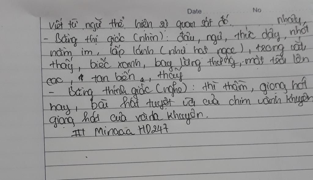 giot-suong-co-mot-giot-suong-nho-dau-tren-la-mong-toi-giot-suong-da-ngu-o-do-suot-ca-dem-den-san