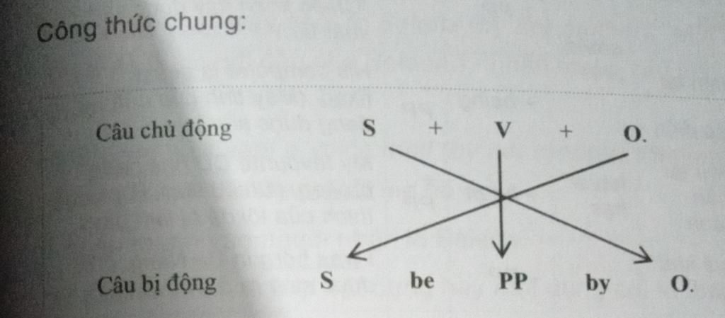 cong-thuc-chung-cua-cau-bi-dong-ai-lam-tui-voi-tui-can-gap-huhu