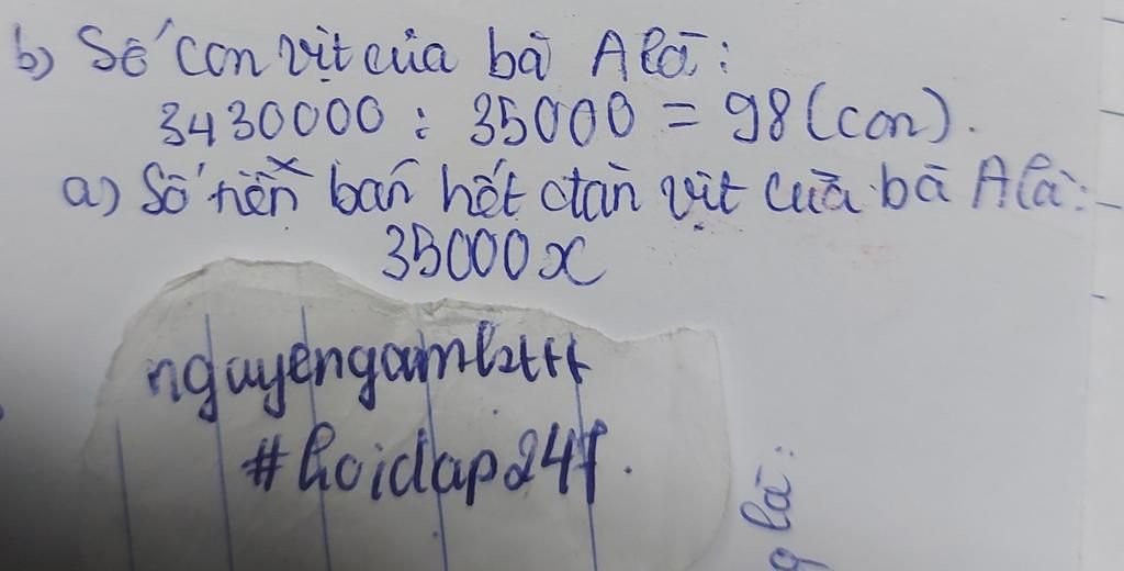 ba-a-muon-ban-mot-dan-vit-gom-con-vit-voi-gia-moi-con-la-35-000-dong-mot-con-b-tinh-so-con-vit-c